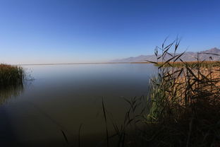 哈素海敕勒川景区，哈素海有什么好玩的