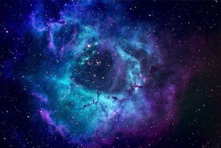 十二星座的图片?