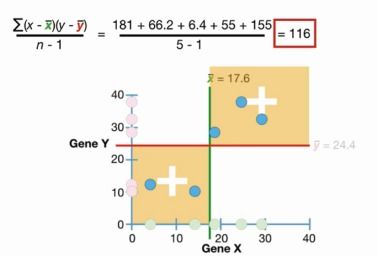 covariance是什么意思，covariance.p和covariance.s的区别