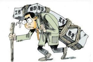 养家之人免费高清观看，年代福宝空间百亿物资养家人