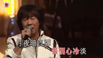 无情夜冷风 歌词