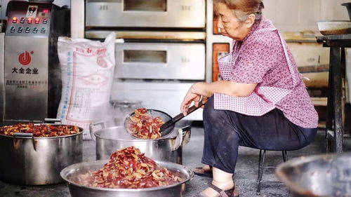 鲜腴的拼音和意思，鲜腴果实