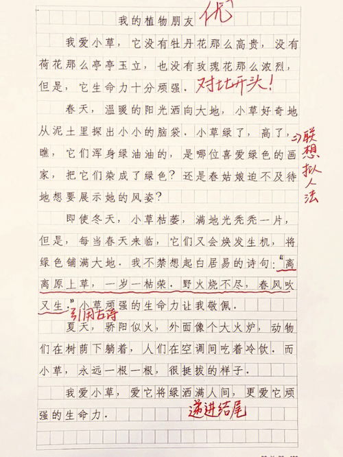 我的植物朋友作文200字左右，我的植物朋友作文200字怎么写