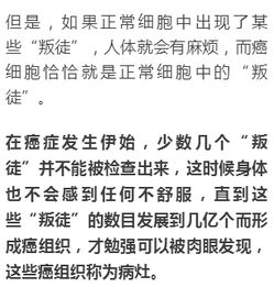 越来越多的近义词和反义词，越来越多意思类似的词语