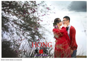 hong怎么读