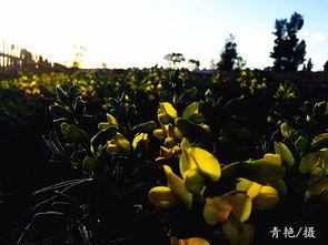正好花前携素手,却云飞雨散 什么意思