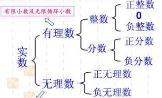 分数是有理数还是无理数，π/2是分数吗