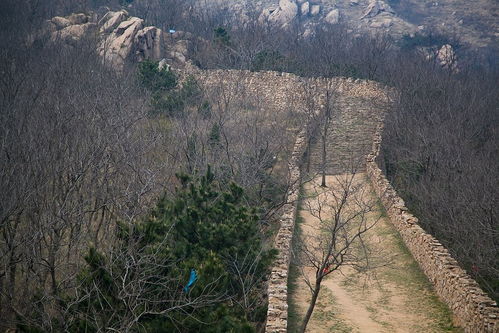 壤怎么读音，壤土