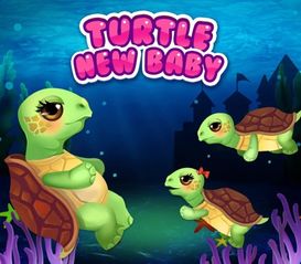 turtle怎么读英语语音，umpire怎么读