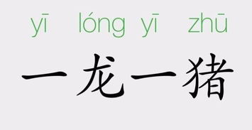 成语:一龙一〔〕