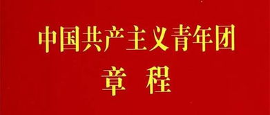 2023团章总则，团章总则内容概括简短