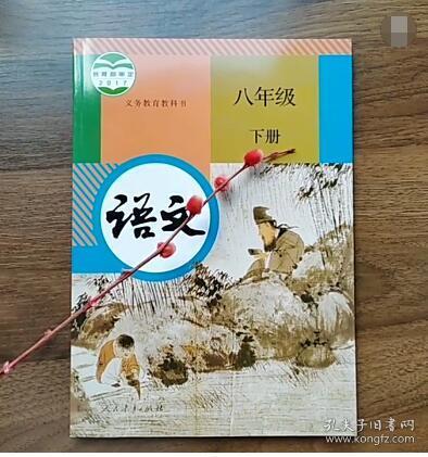 八年级下册人教版语文书电子版2023，八年级下册人教版语文书读读写写