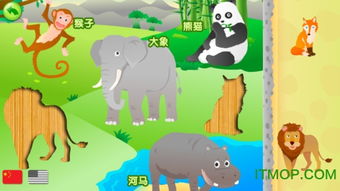 动物园的英语是什么?