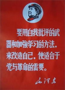 自我批评总结