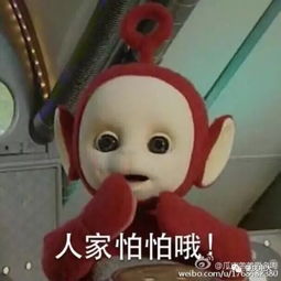 语塞的读音应该怎样读，语塞读音sai