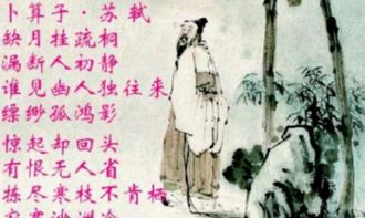 拣尽寒枝不肯栖怎么读，拣尽寒枝不肯栖,寂寞沙洲冷是指哪种鸟