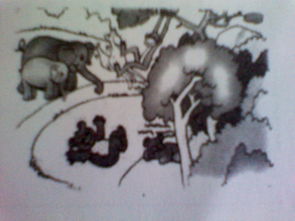 描写动物外形的一段话100字，描写动物外形的一段话10字