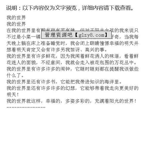 我的世界作文