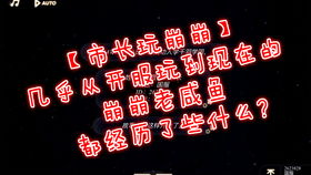 从什么什么崩四字词语，成语从什么什么崩