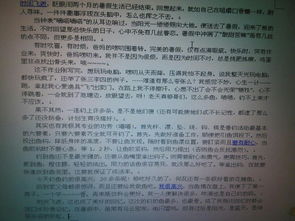 难忘的假期作文600字寒假，难忘的假期作文600字免费阅读