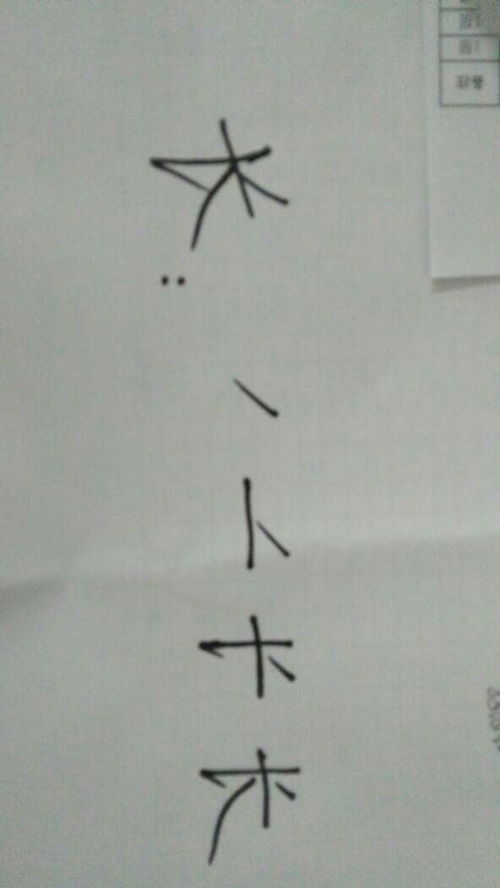书字的笔顺正确的写法，藏字的笔顺