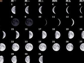 月相变化图手抄报，月相变化图怎么画