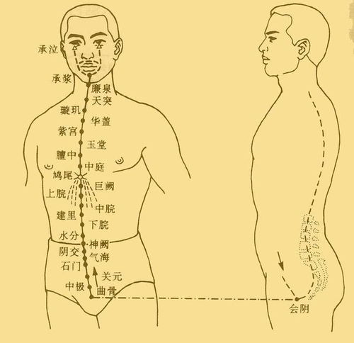 奇经八脉是指什么十二经络，奇经八脉运行图