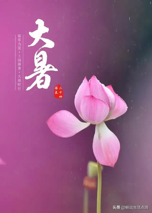 凉飕飕什么意思冷飕飕有啥不一样，凉飕飕的飕怎么读