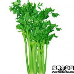 鲜为人知的意思和造句三年级，鲜为人知的词语意思是什么