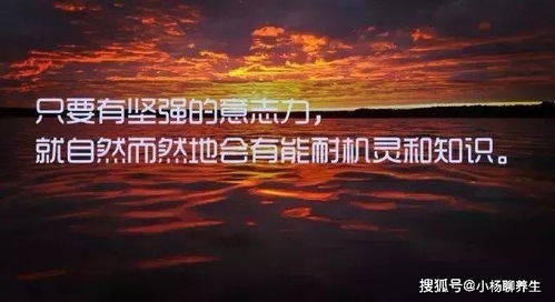 斗志昂扬什么意思?斗志昂扬怎么读?