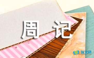 初二暑假周记500字【精选5篇】