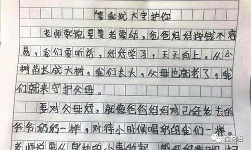新学期的期盼作文500字，盼作文500字优秀作文下雪