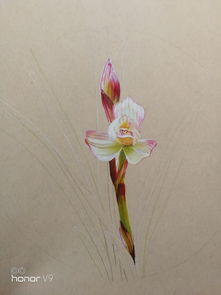 关鸠诗，关鸠出自诗经哪篇