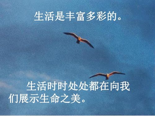 海燕ppt优秀课件状元大课堂，海燕高尔基经典朗诵