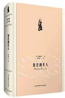 纯文学名词解释，纯文学小说