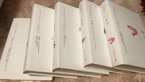 亦舒作品改编的影视剧，亦舒作品集TXT