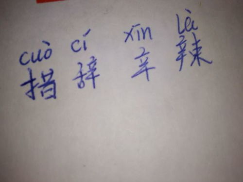 辛辣的拼音怎么写的拼，辛辣的意思