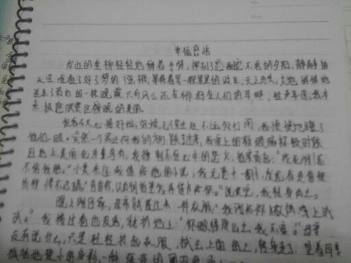关于情感的作文400字左右六年级，关于情感的作文开头结尾