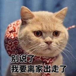 哧的拼音，哧组词