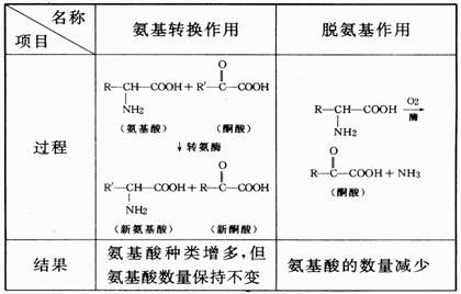 不是必需氨基酸的是