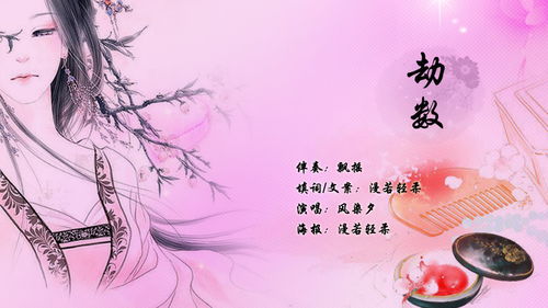 劫数云落纸上，劫数nhp