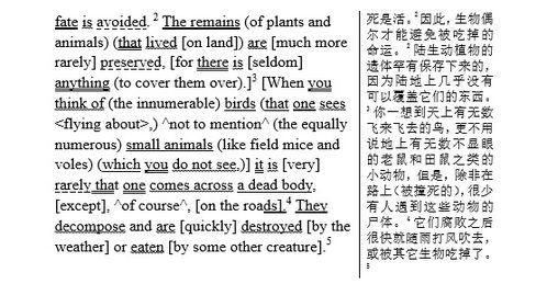 past是什么意思