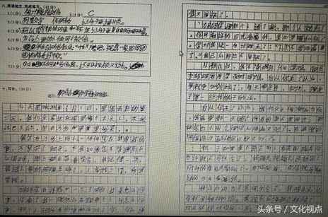 难忘那张慈祥的脸作文450字，难忘那张慈祥的脸400字