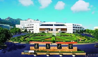 青岛大学研究生院电话，青岛大学研究生院专业