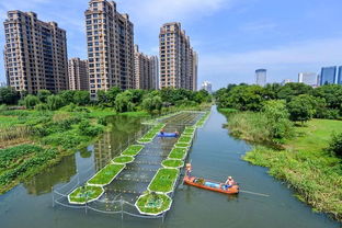 太湖街道邮编，太湖街道有哪些社区