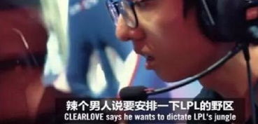 arange英语是什么意思