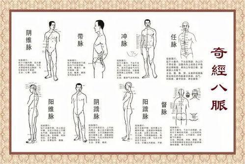 奇经八脉是指什么 奇经八脉意思简述