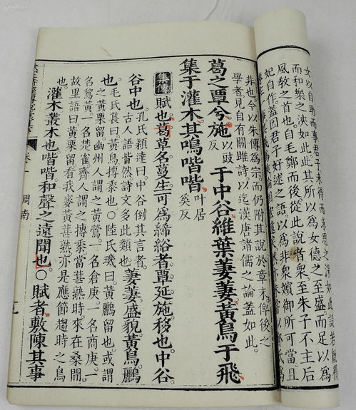 敦厚近义词和反义词，敦厚近义词有哪些