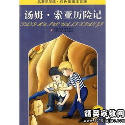 汤姆索亚历险记读后感100字以内，汤姆·索亚历险记摘抄好词好句