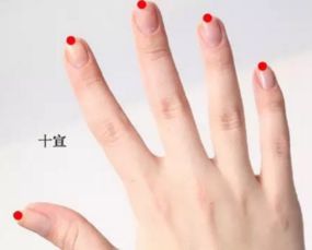 击手白乌鸦，狙击手电影免费观看完整版